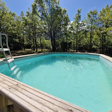 Chalet De Caralba Piscine Villa Ghisoni Екстериор снимка