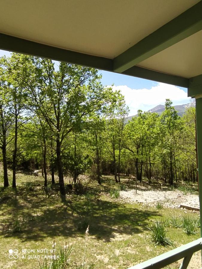 Chalet De Caralba Piscine Villa Ghisoni Екстериор снимка