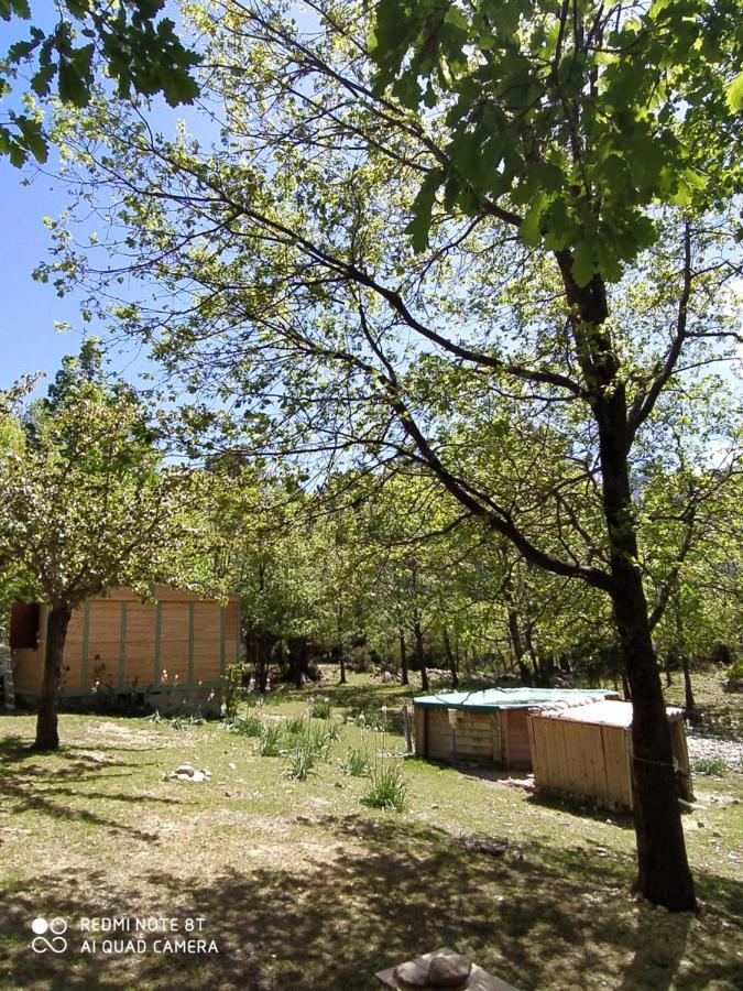 Chalet De Caralba Piscine Villa Ghisoni Екстериор снимка