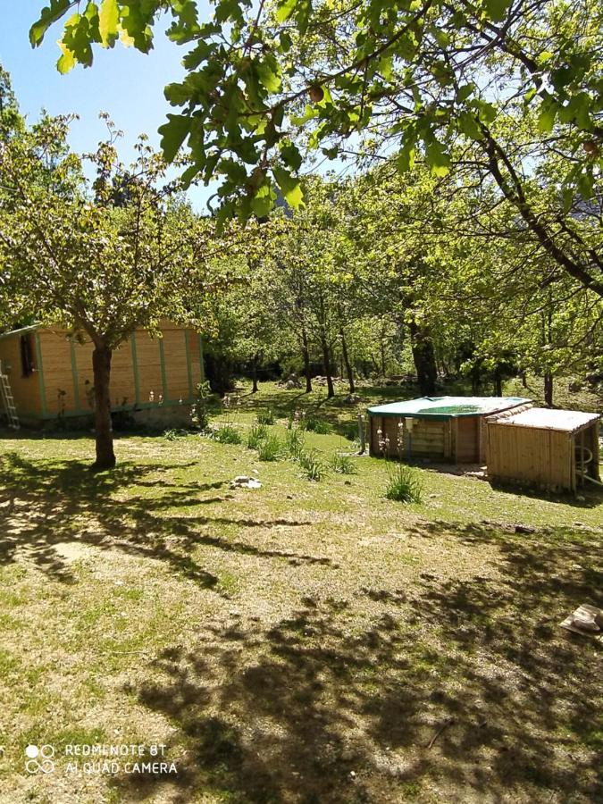 Chalet De Caralba Piscine Villa Ghisoni Екстериор снимка