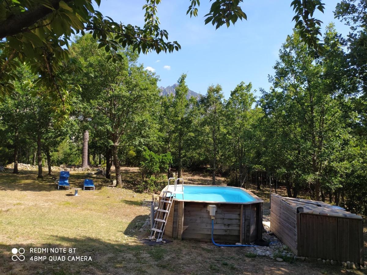 Chalet De Caralba Piscine Villa Ghisoni Екстериор снимка
