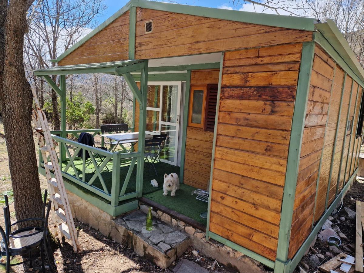 Chalet De Caralba Piscine Villa Ghisoni Екстериор снимка